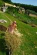 Ekotábor 2005