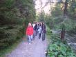 Ekokempy 2010