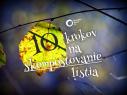 10 krokov na skompostovanie lístia (aj orechového)