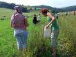 Ekotábor 2008