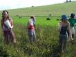 Ekotábor 2008